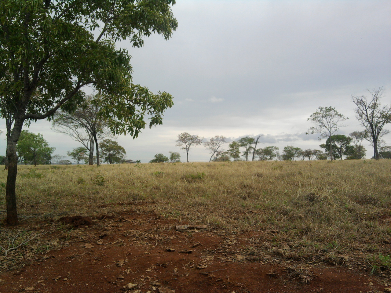 F-12 Fazenda 680 ha Curvelo