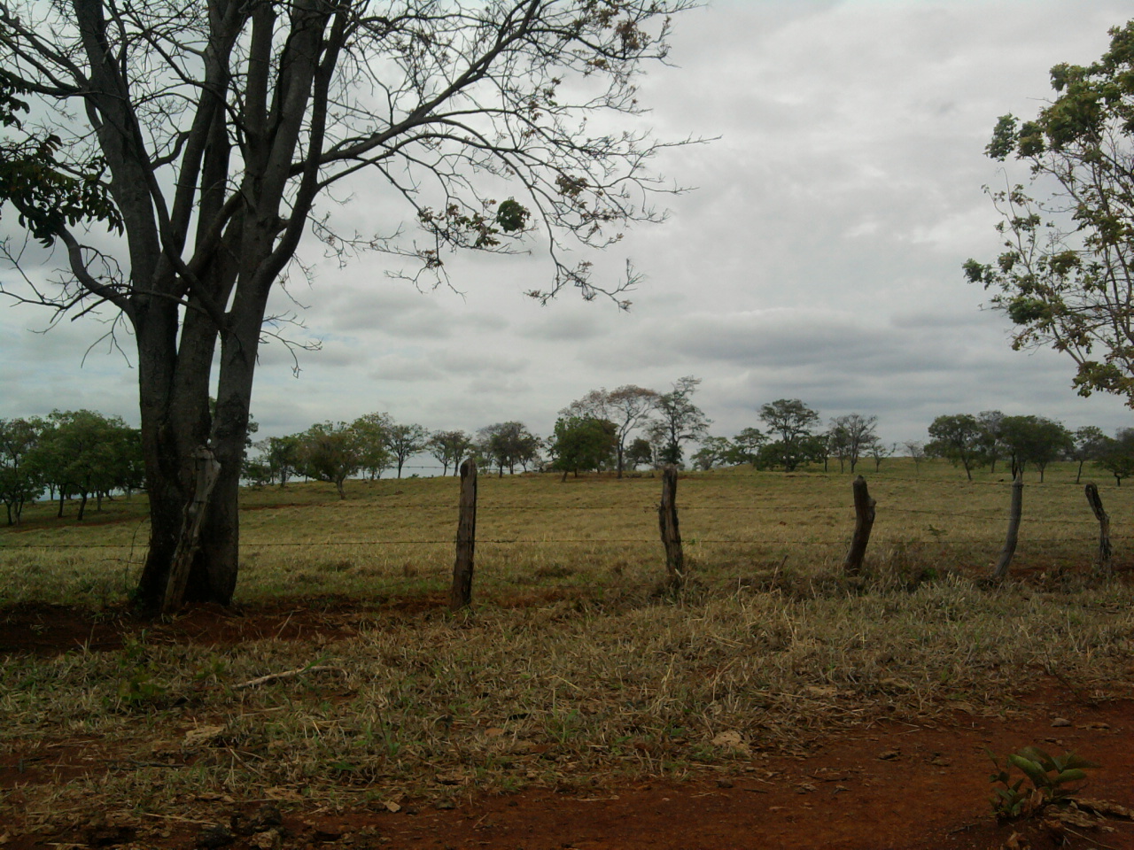 F-12 Fazenda 680 ha Curvelo