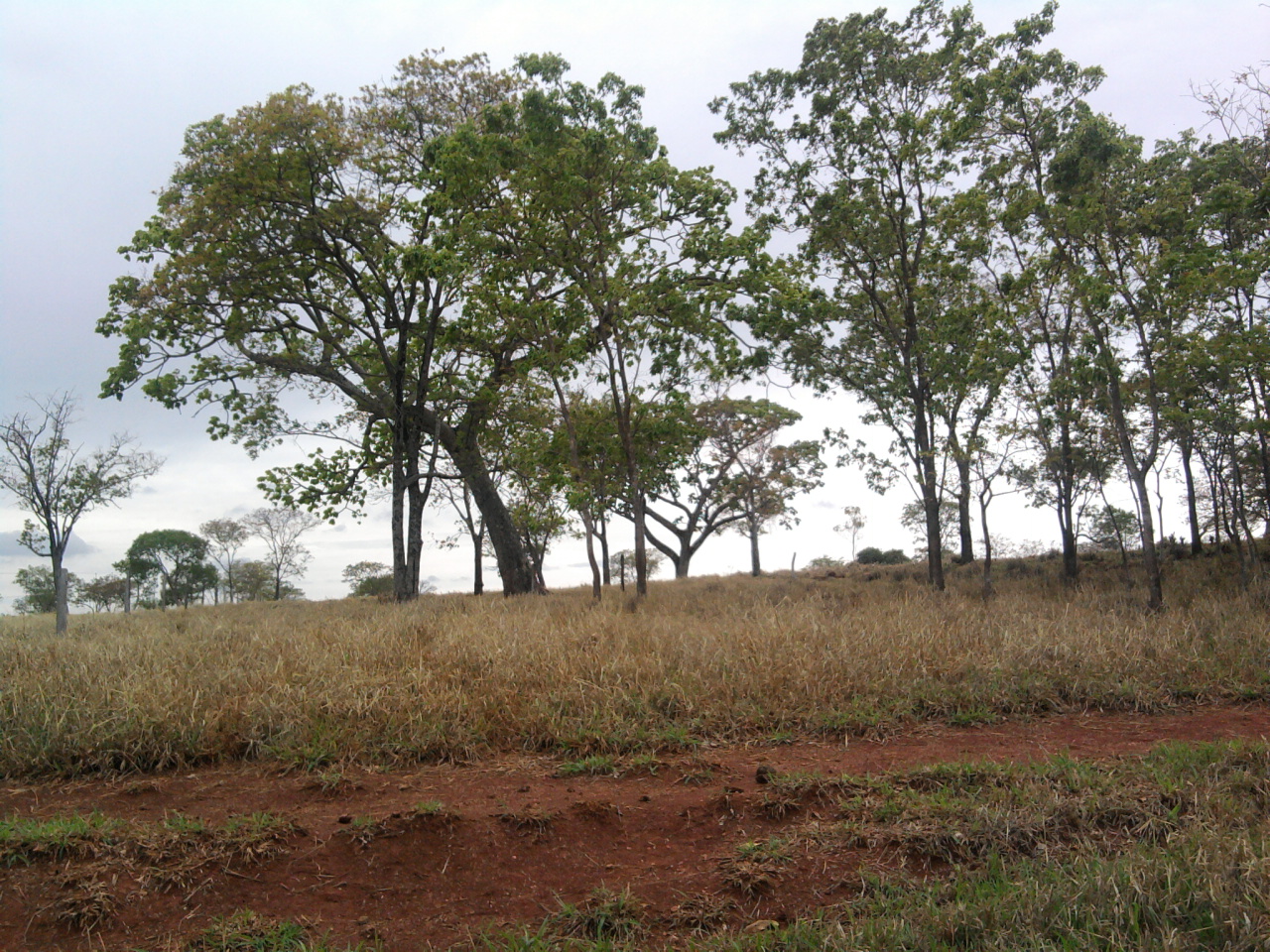 F-12 Fazenda 680 ha Curvelo