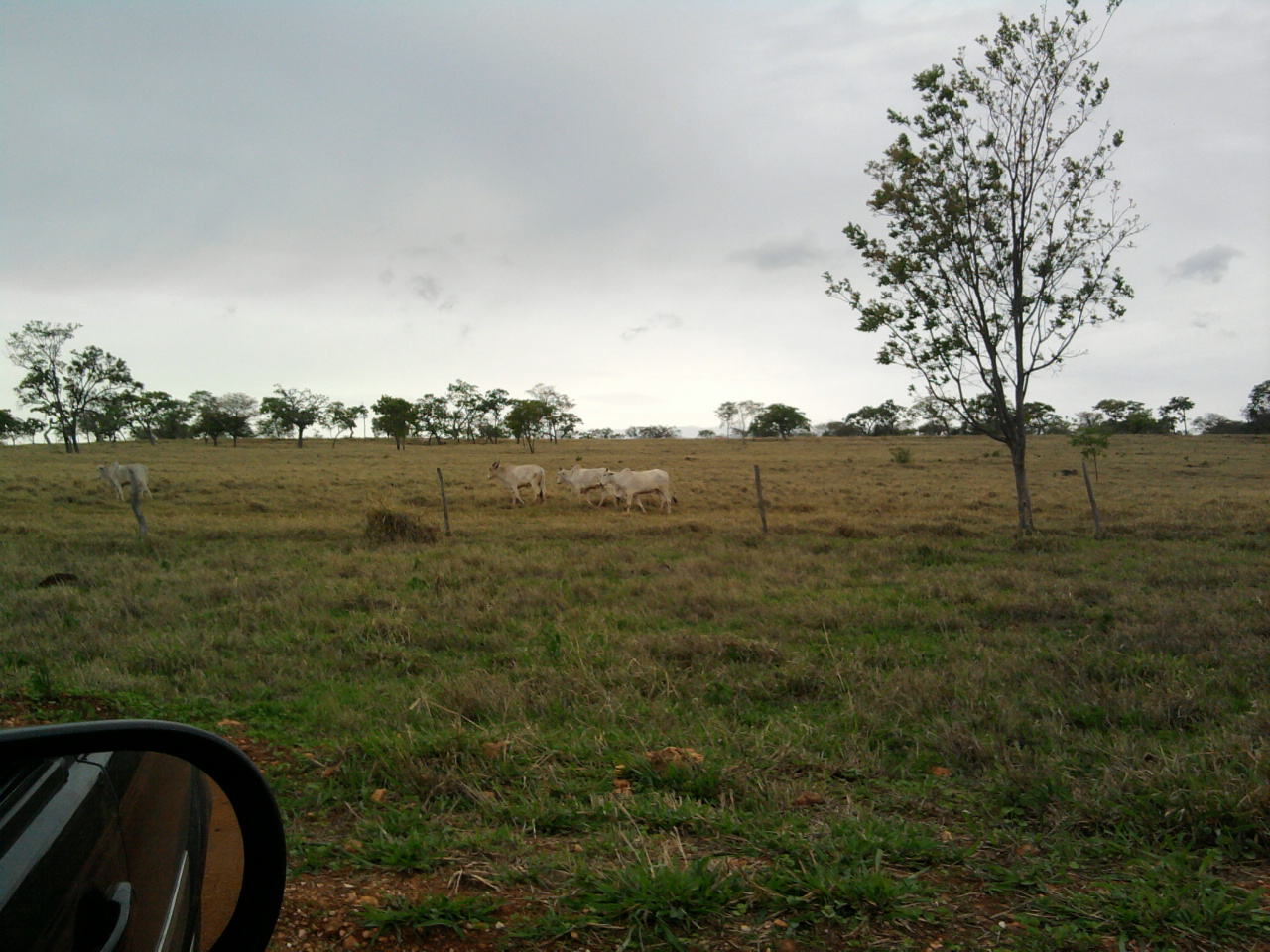 F-12 Fazenda 680 ha Curvelo