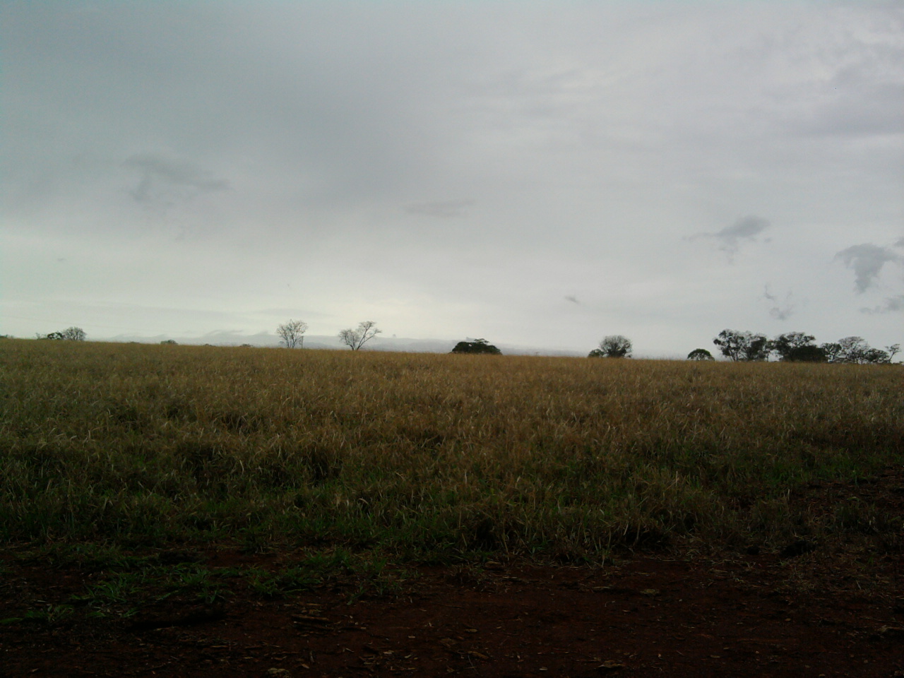 F-12 Fazenda 680 ha Curvelo