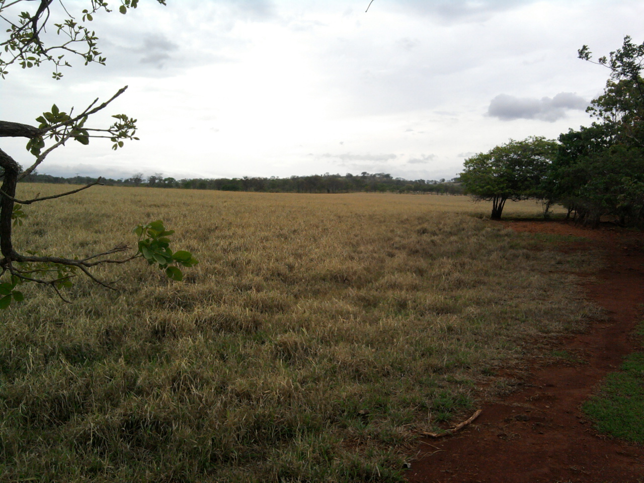 F-12 Fazenda 680 ha Curvelo