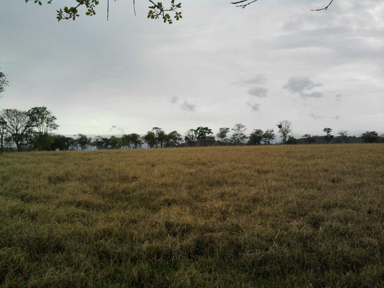 F-12 Fazenda 680 ha Curvelo