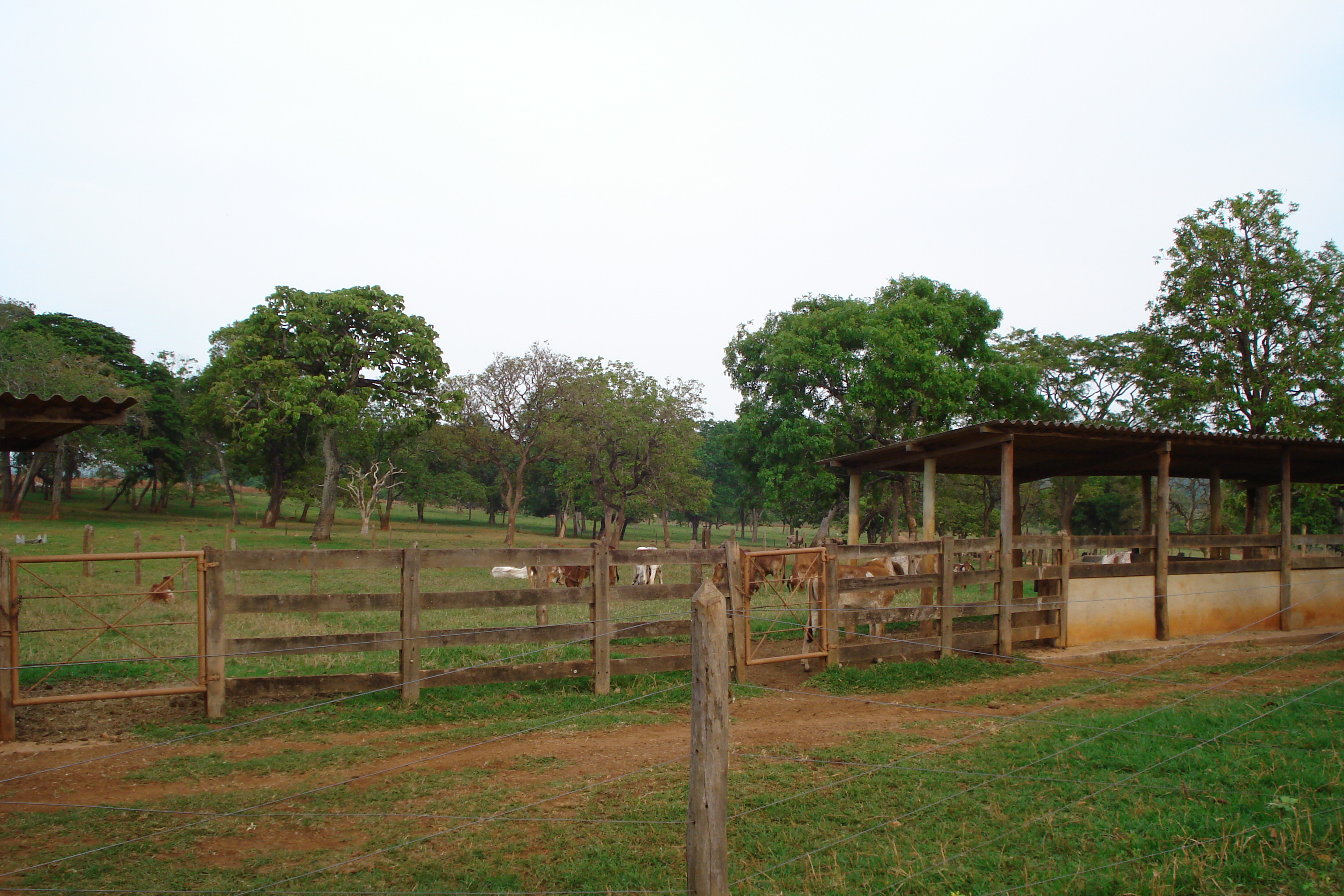 F-27 Fazenda 250ha