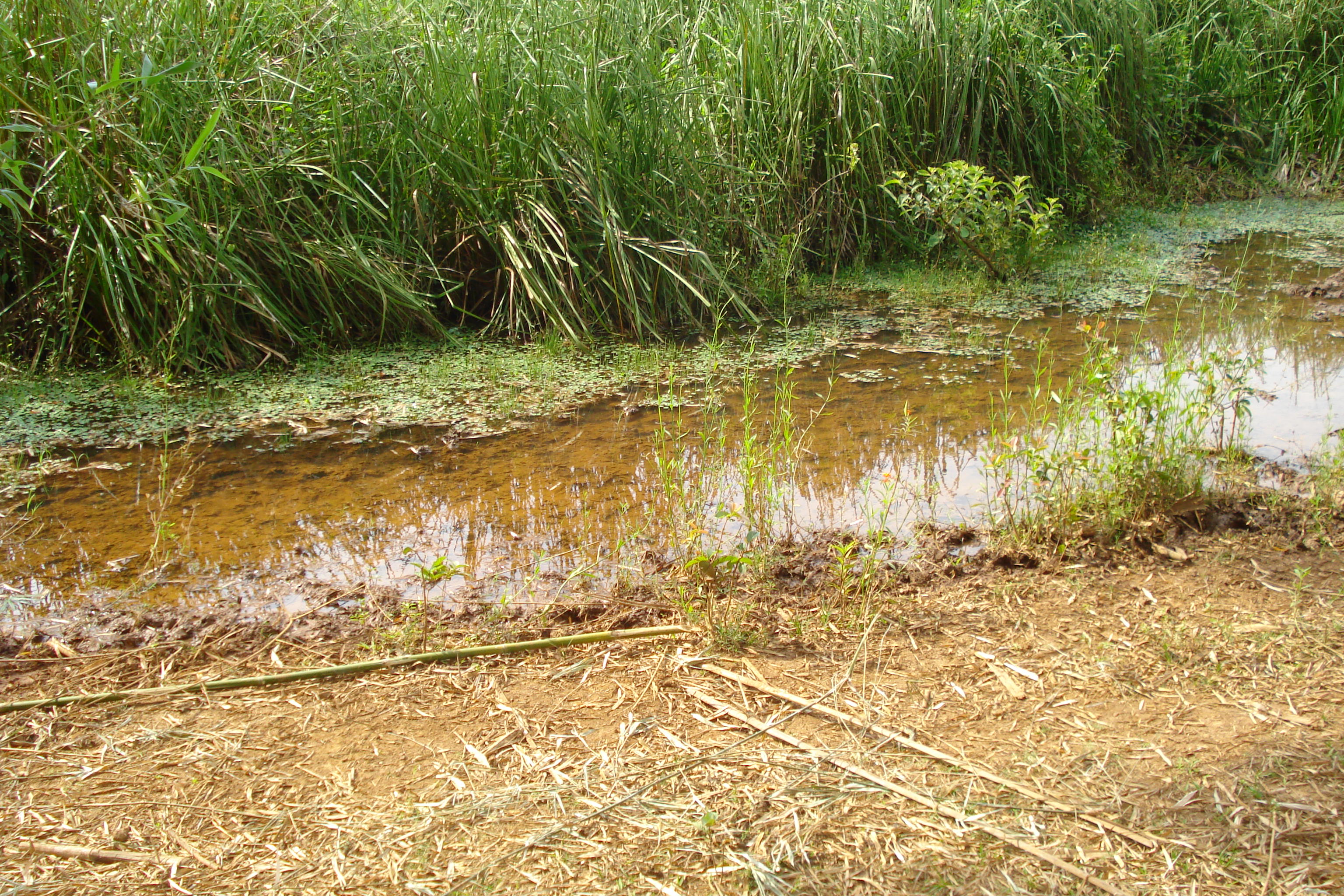 F-27 Fazenda 250ha