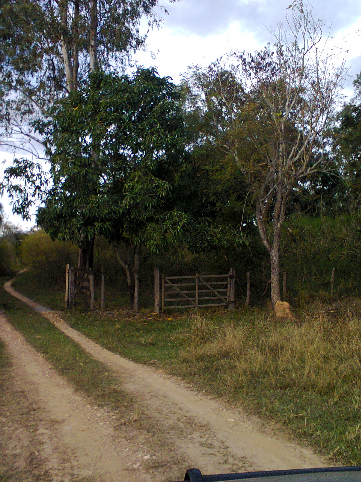 F-07 Fazenda 550 ha Curvelo