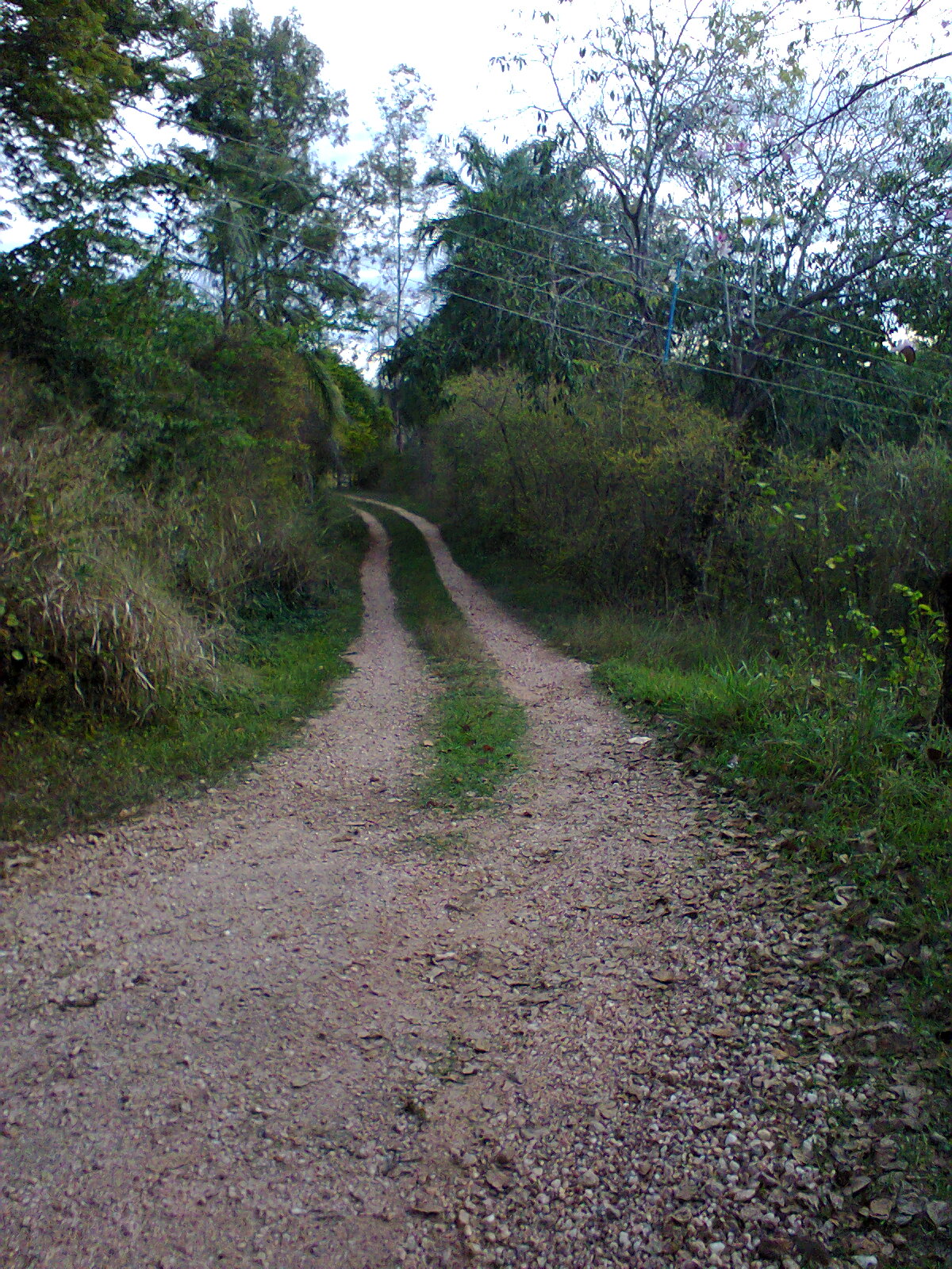 F-07 Fazenda 550 ha Curvelo