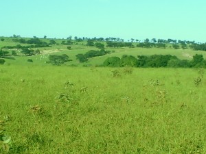 F-43  Fazenda 1903,997 ha