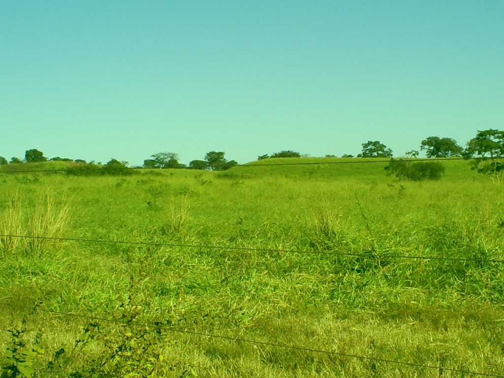 F-43  Fazenda 1903,997 ha