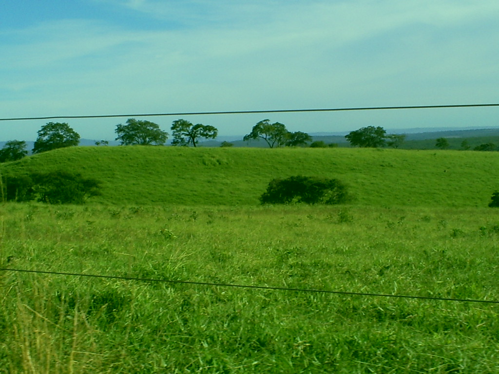 F-43  Fazenda 1903,997 ha