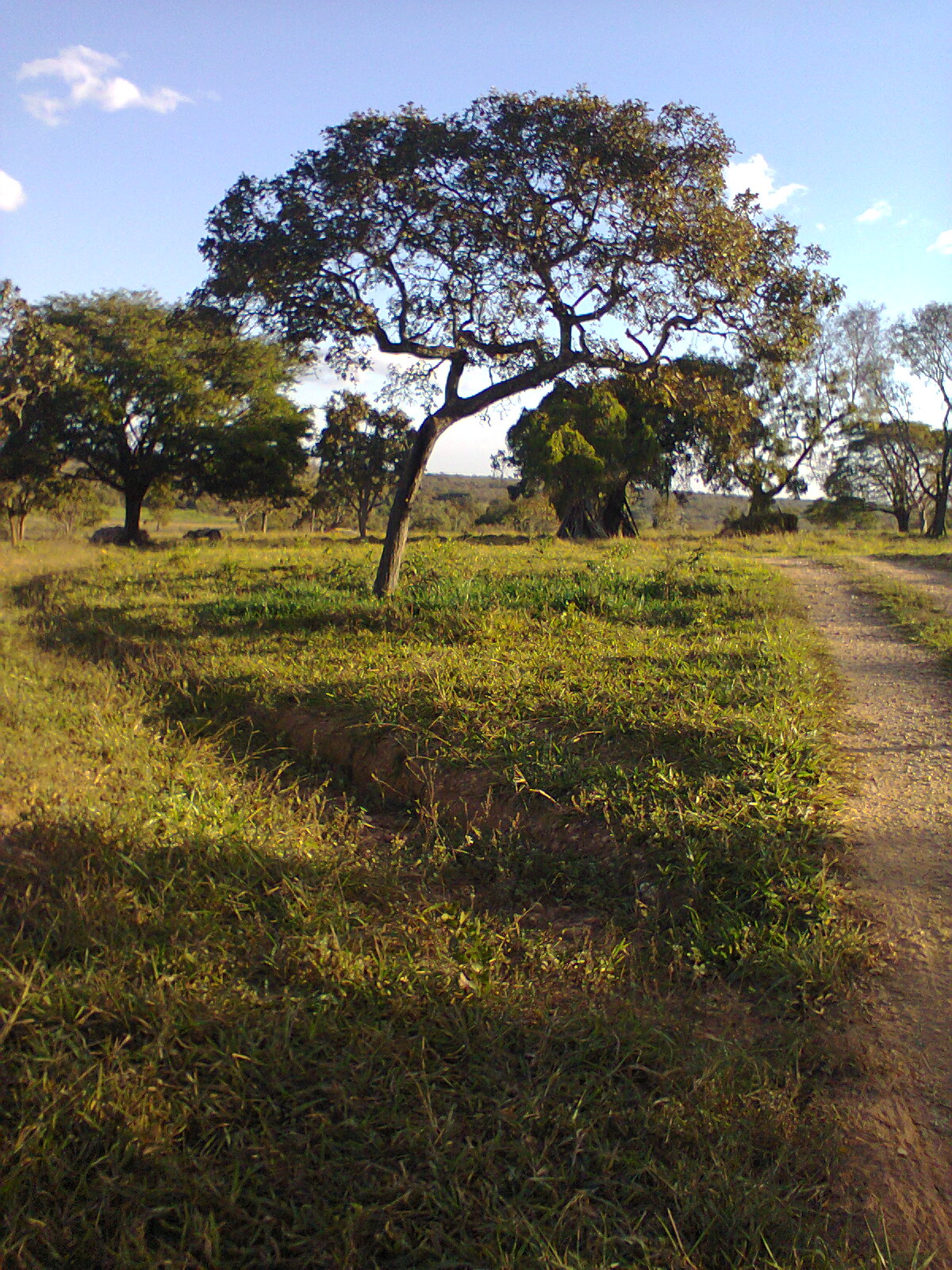 F-40 Fazenda 205 ha