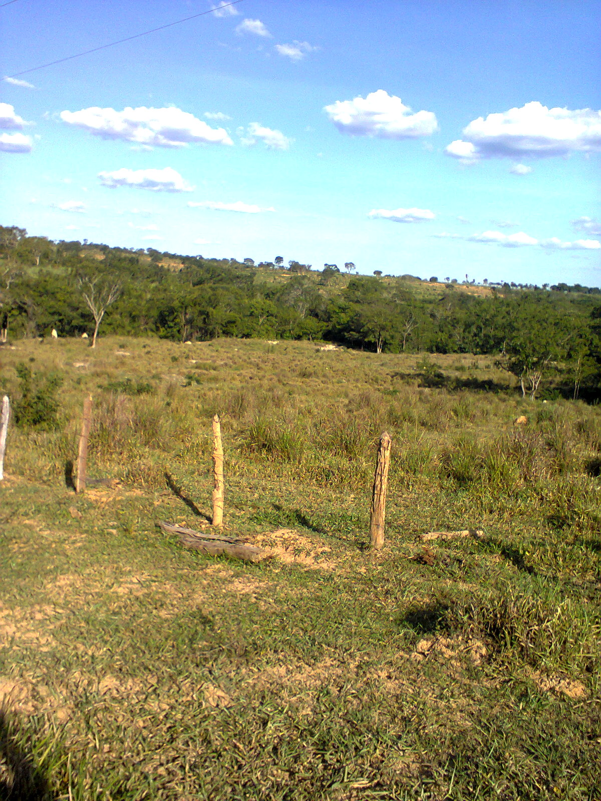 F-31 Fazenda 50 ha