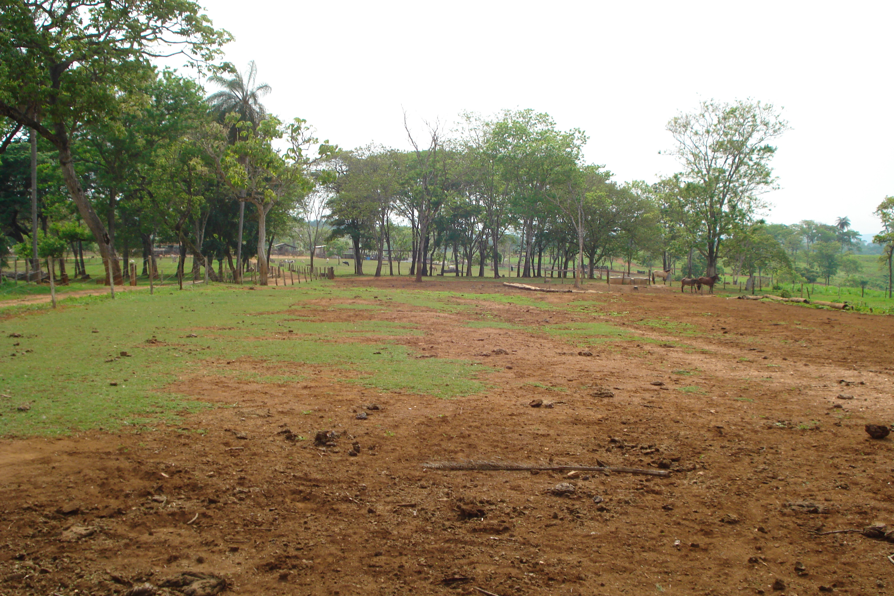 F- 41 Fazenda 250 ha Mocambeiro