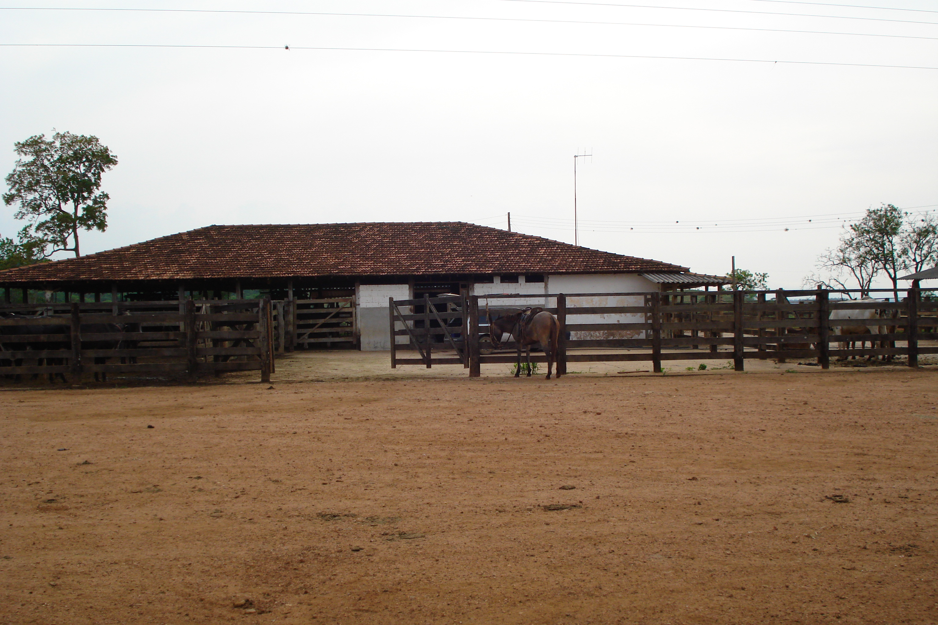 F- 41 Fazenda 250 ha Mocambeiro