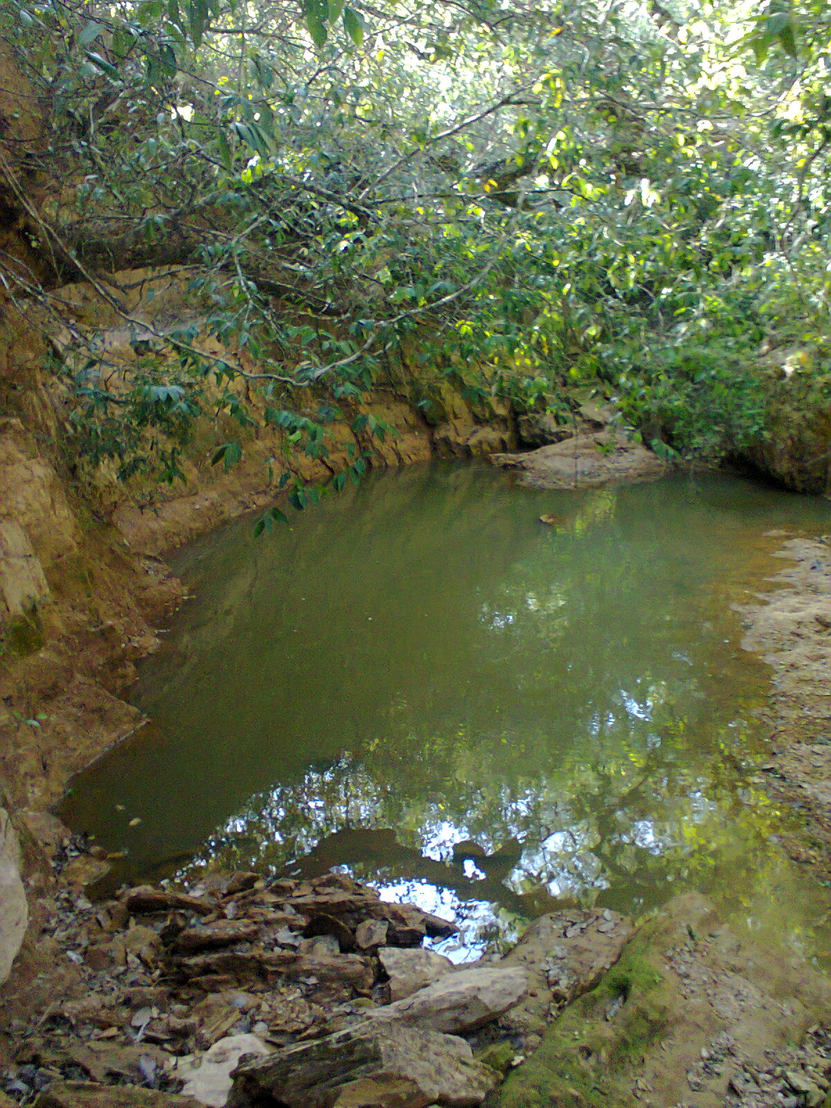 F-31 Fazenda 50 ha