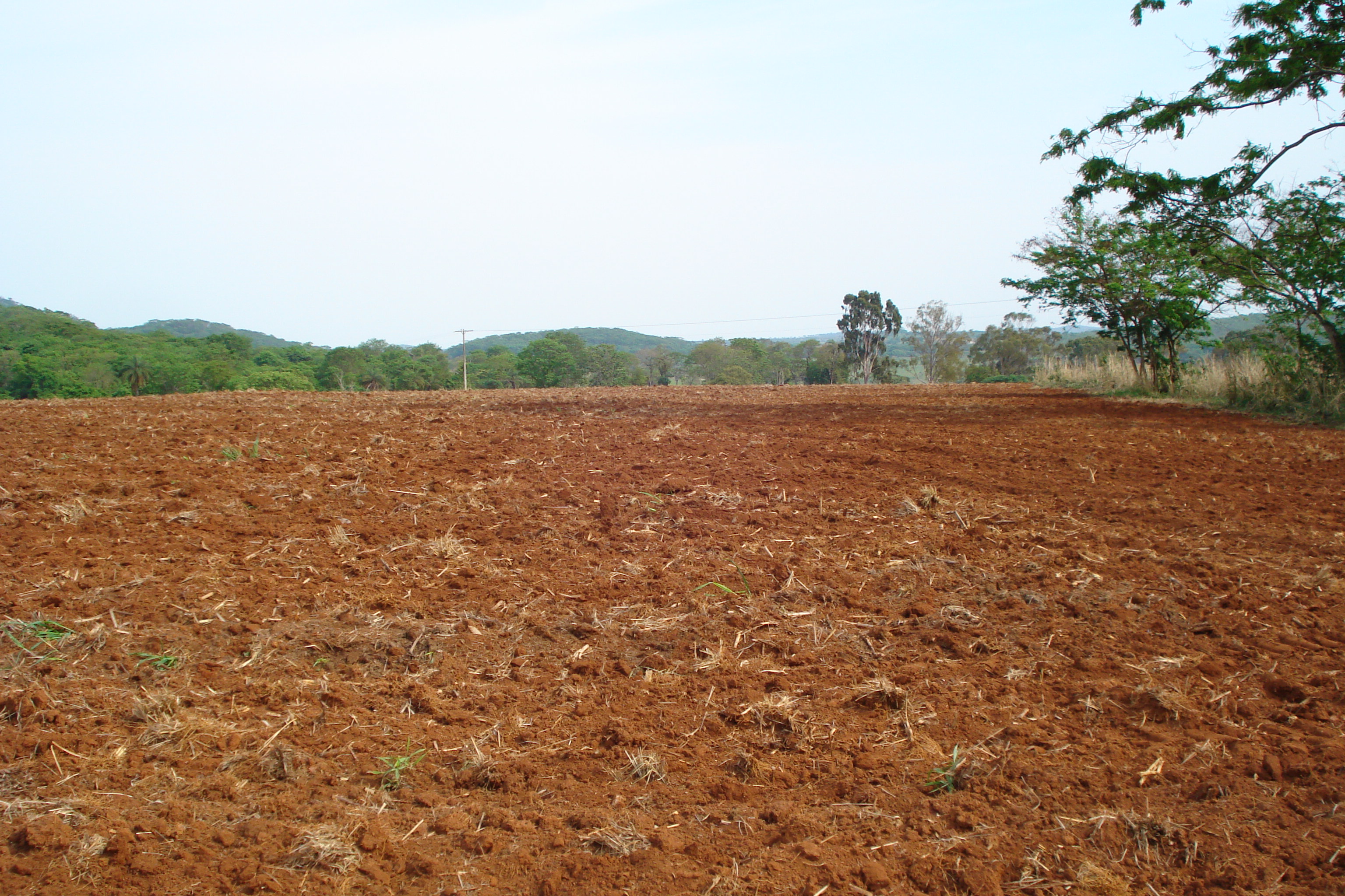 F- 41 Fazenda 250 ha Mocambeiro