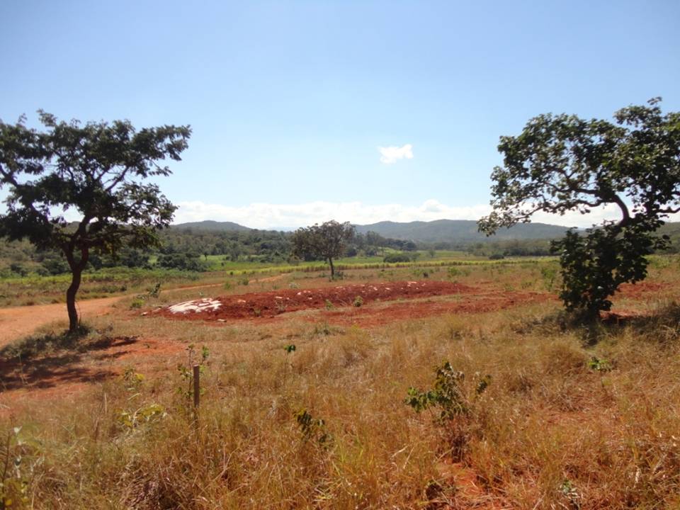 F-34 Fazenda 80 ha