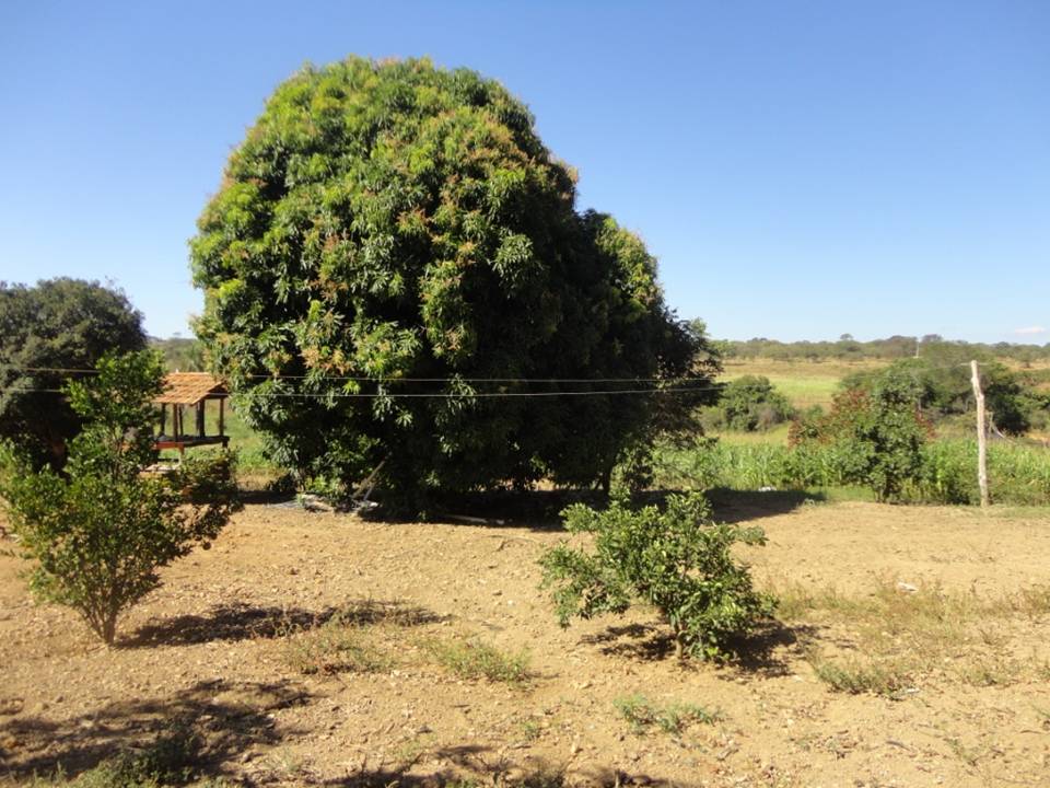 F-34 Fazenda 80 ha