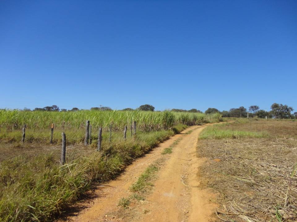 F-34 Fazenda 80 ha