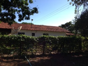 F-37 Fazenda 39 ha