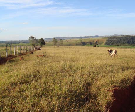 F- 42 Fazenda 242 Ha Vargem Bonita