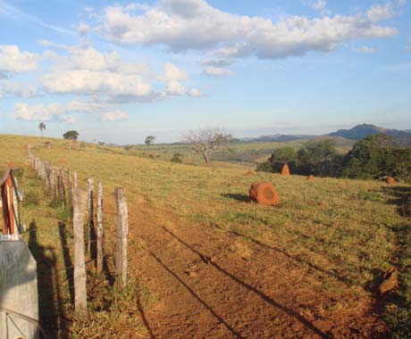 F- 42 Fazenda 242 Ha Vargem Bonita