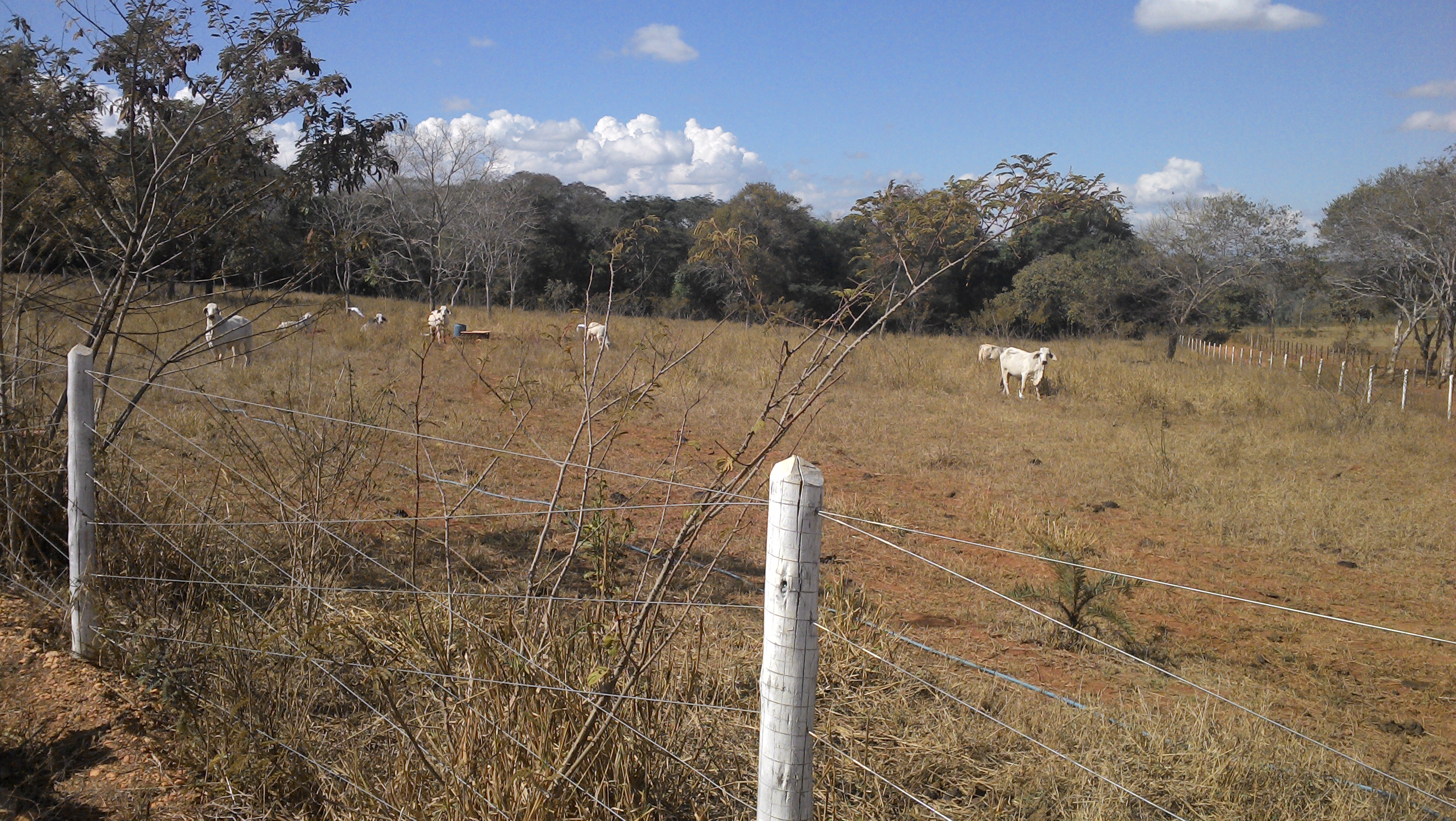 S- 13 Sitio Pedro Leopoldo Fidalgo