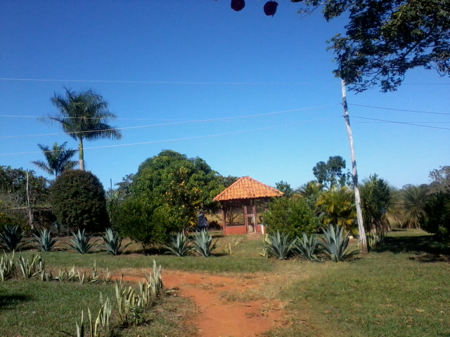 F-47 Fazenda 394 ha Cordisburgo