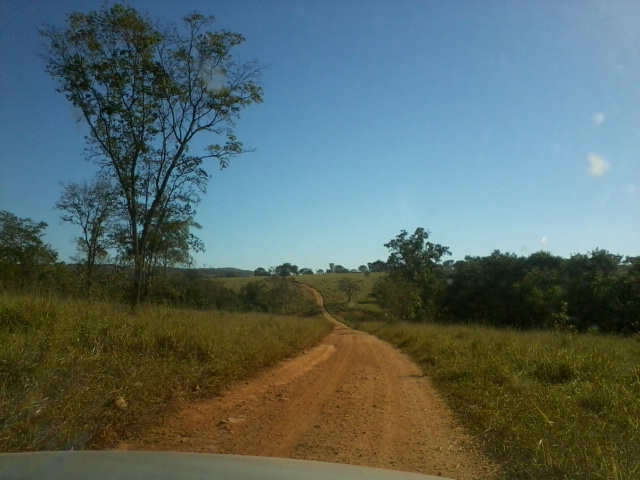 F-47 Fazenda 394 ha Cordisburgo