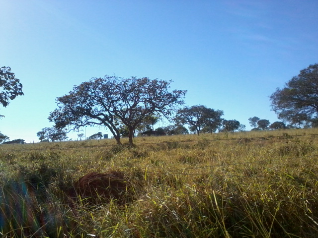 F-47 Fazenda 394 ha Cordisburgo