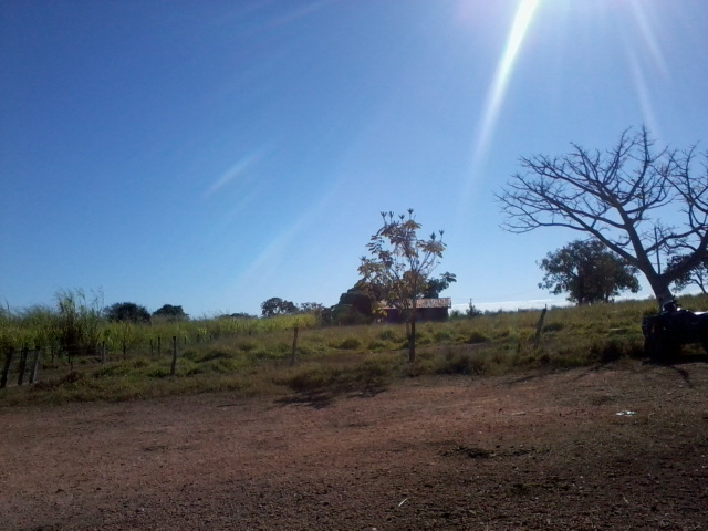 F-47 Fazenda 394 ha Cordisburgo