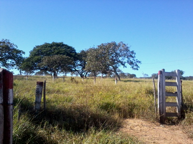 F-47 Fazenda 394 ha Cordisburgo