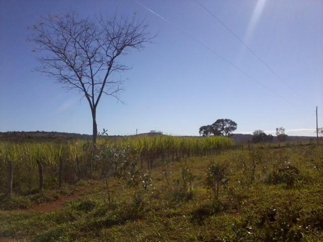 F-47 Fazenda 394 ha Cordisburgo