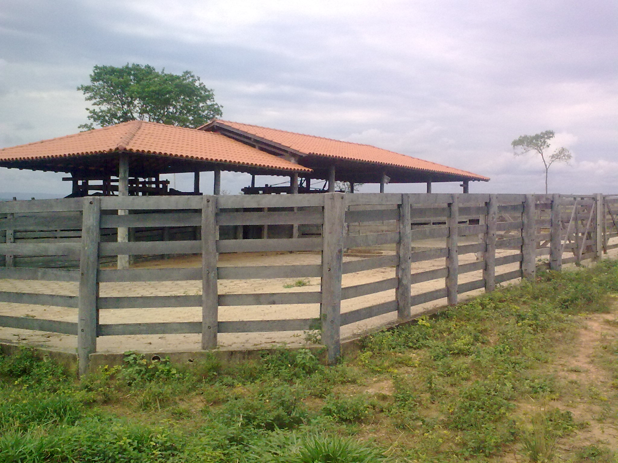 F-49 Fazenda 900 ha Corinto