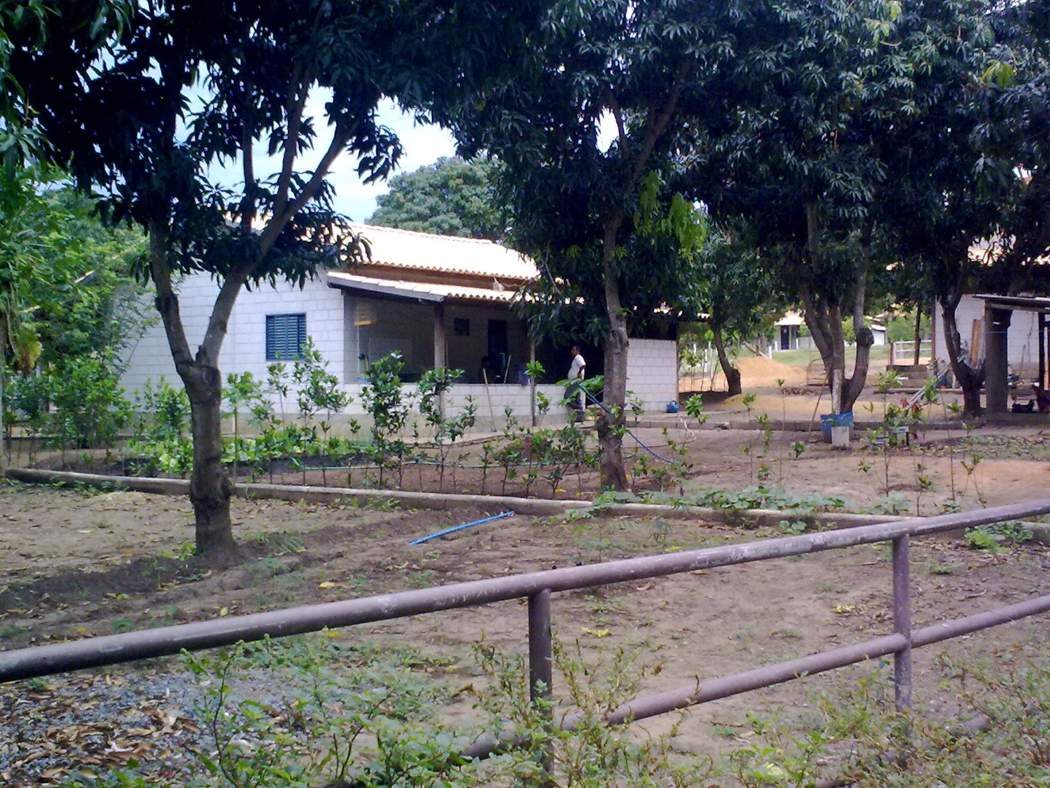 F-49 Fazenda 900 ha Corinto