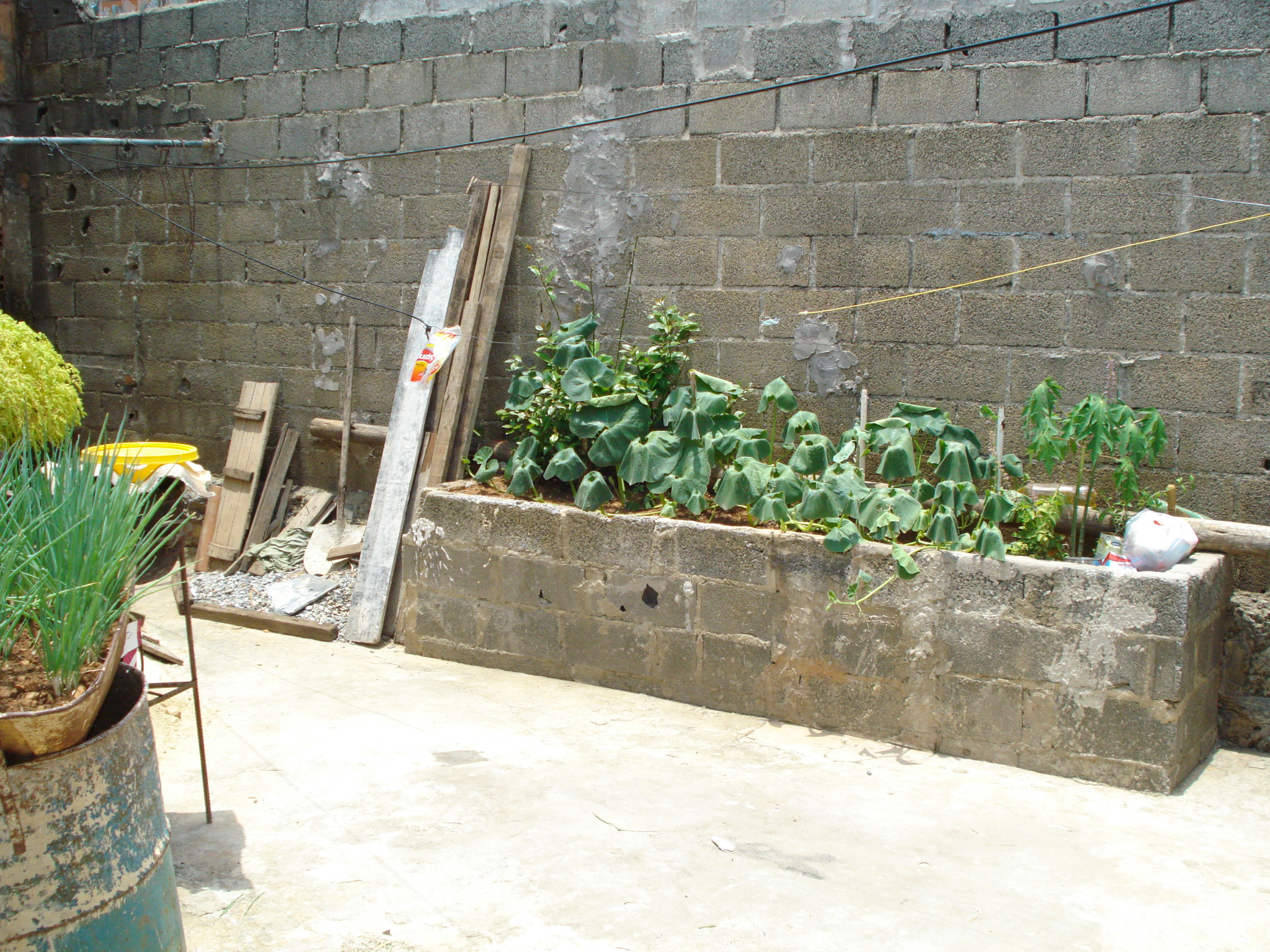 C-38 CASA BAIRRO TEOTONIO BATISTA