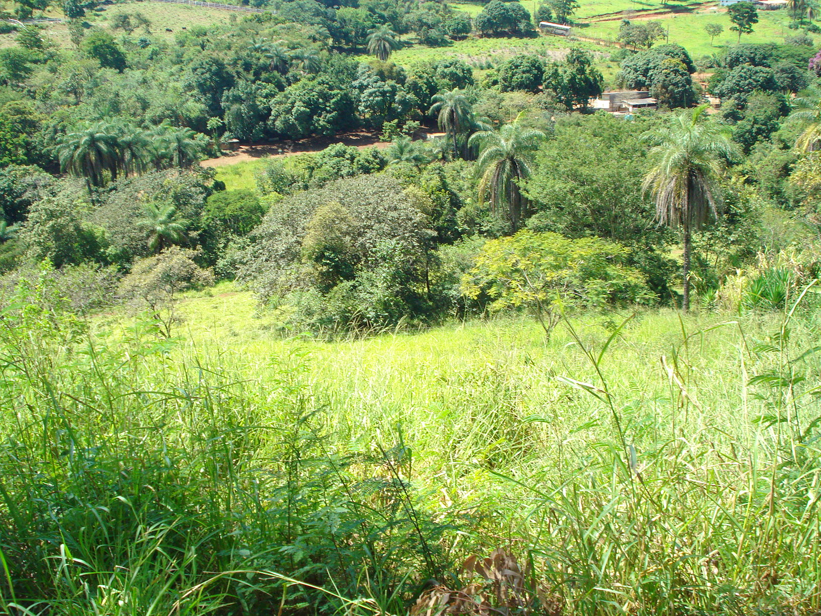 CH-14 CHÁCARA 5ª DAS FAZENDINHAS – 27.000M2