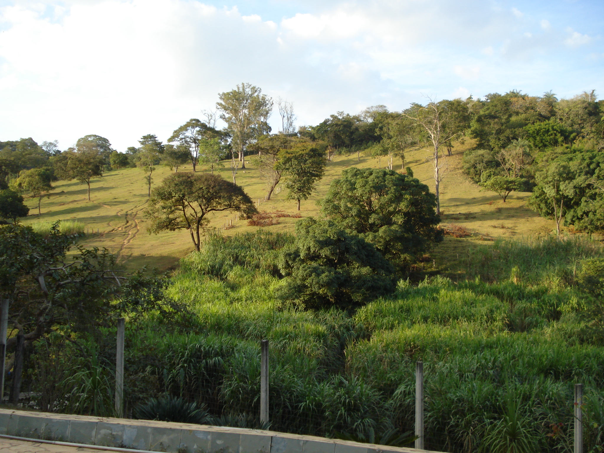 F-50 FAZENDA 11HA PEDRO LEOPOLDO