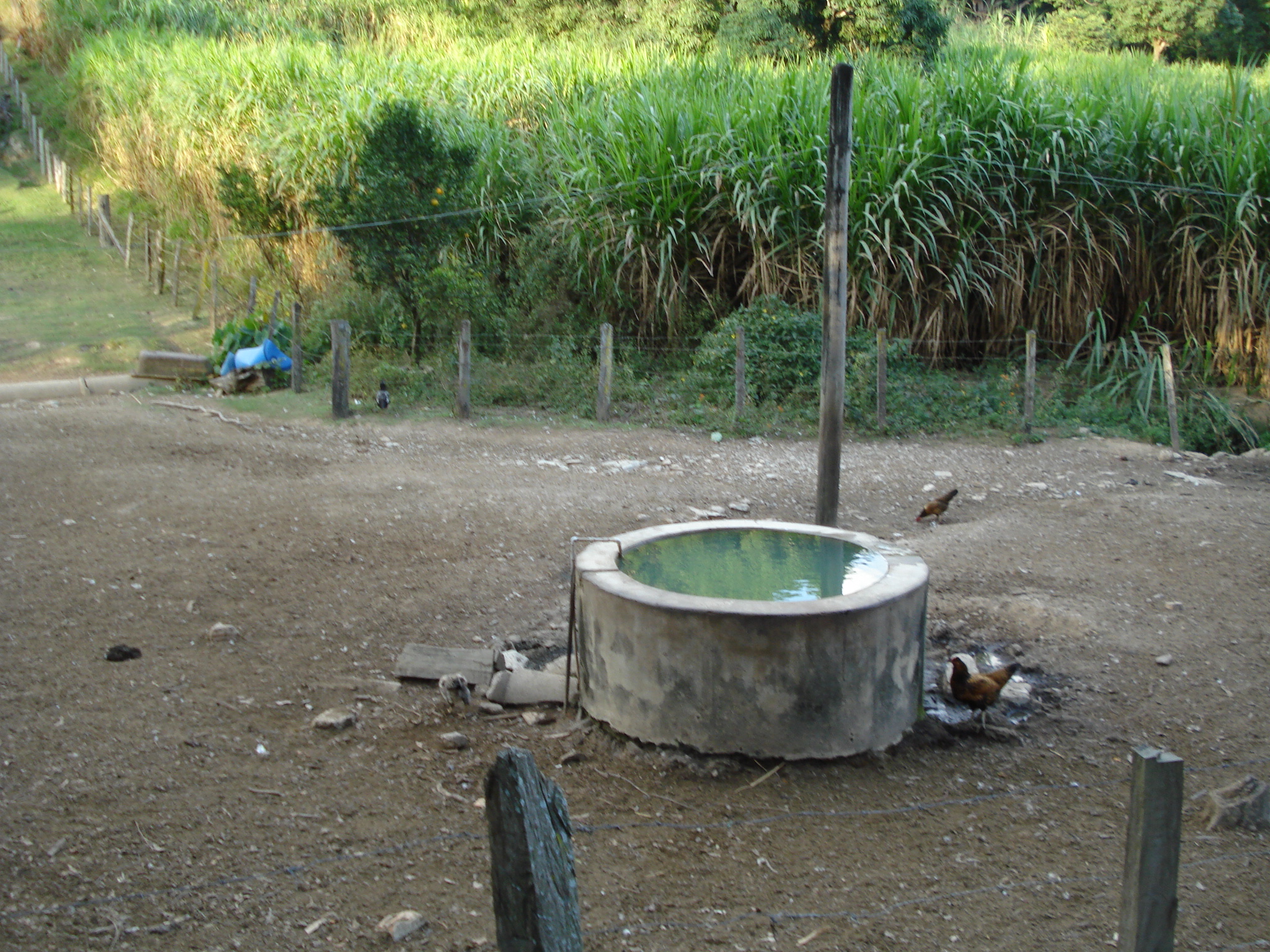 F-50 FAZENDA 11HA PEDRO LEOPOLDO