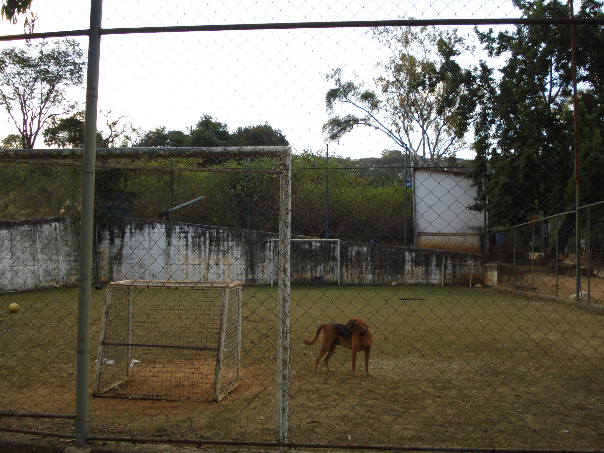 F-50 FAZENDA 11HA PEDRO LEOPOLDO