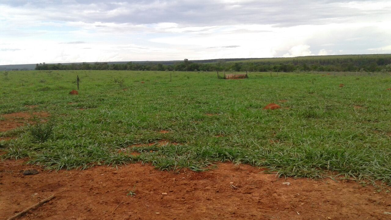 F – 55 Fazenda 200 ha Curvelo