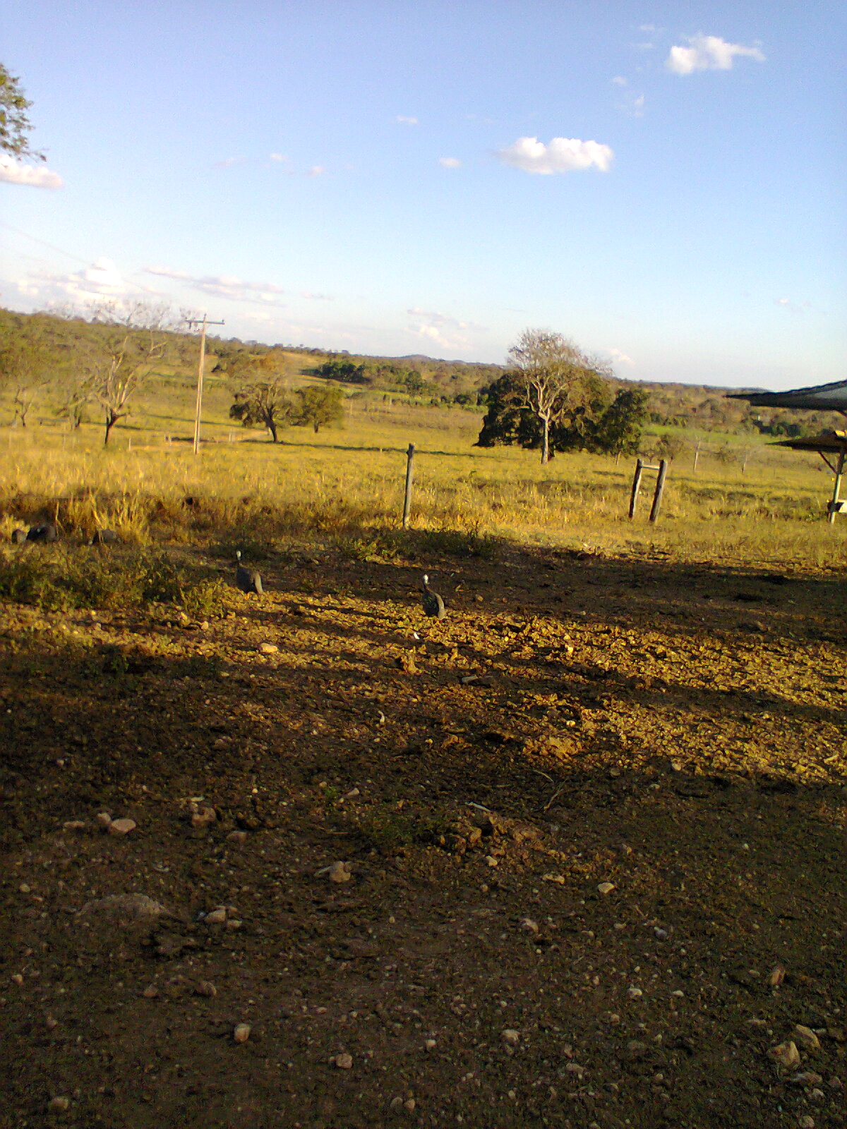 F-56 Fazenda 205hectares