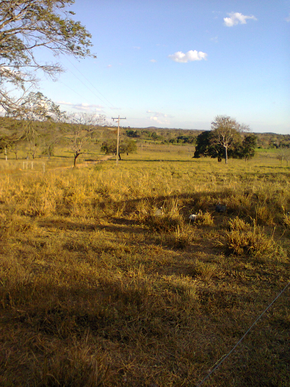 F-56 Fazenda 205hectares