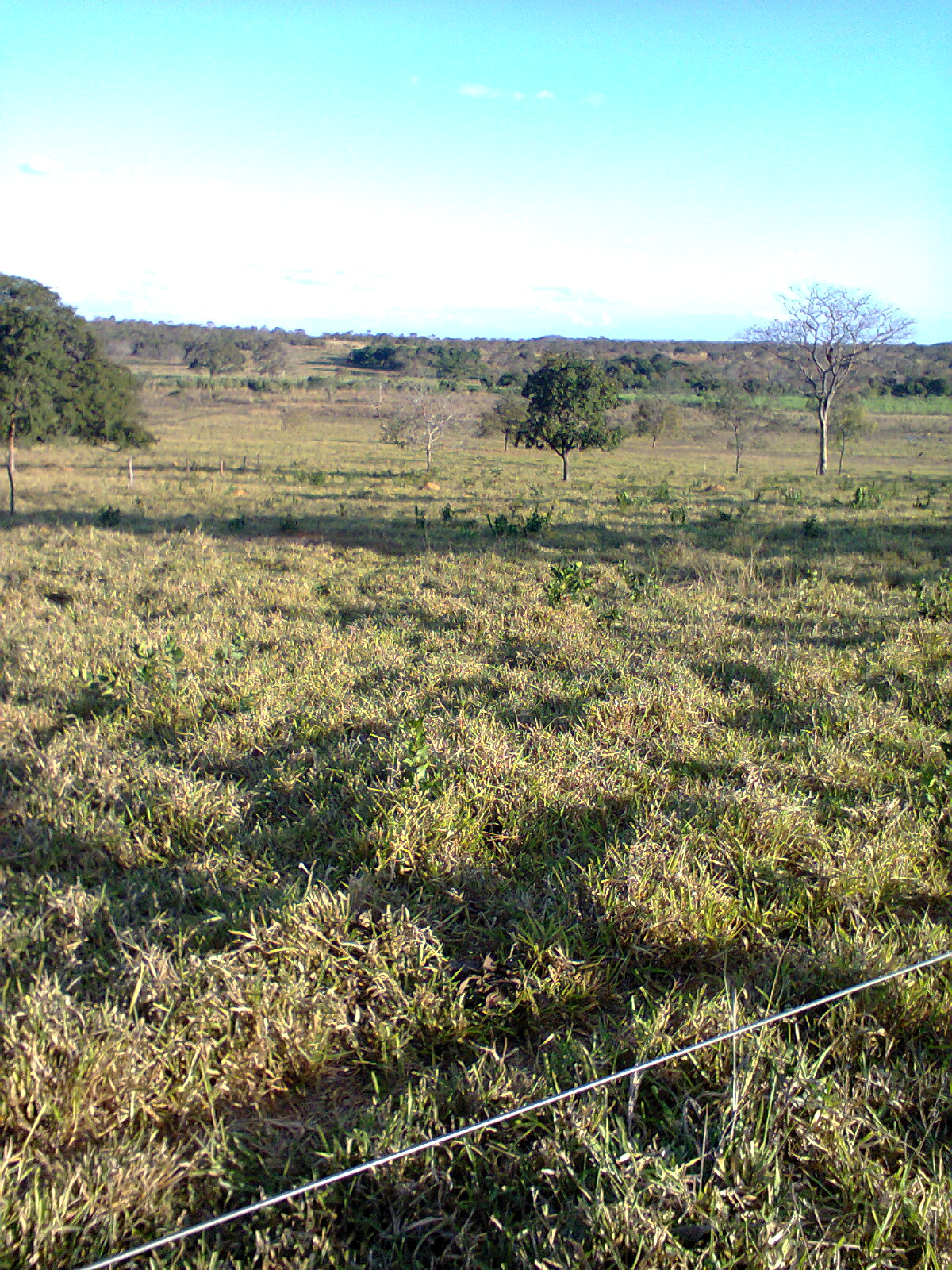 F-56 Fazenda 205hectares