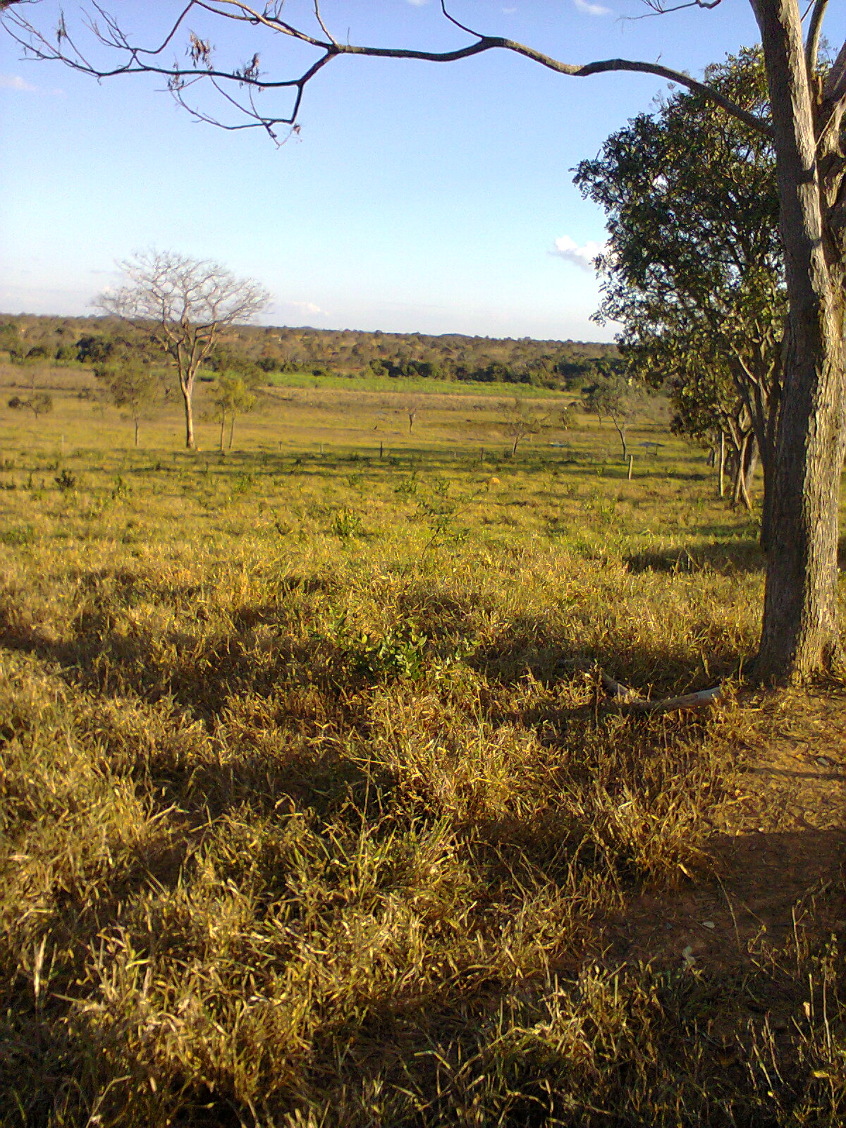 F-56 Fazenda 205hectares