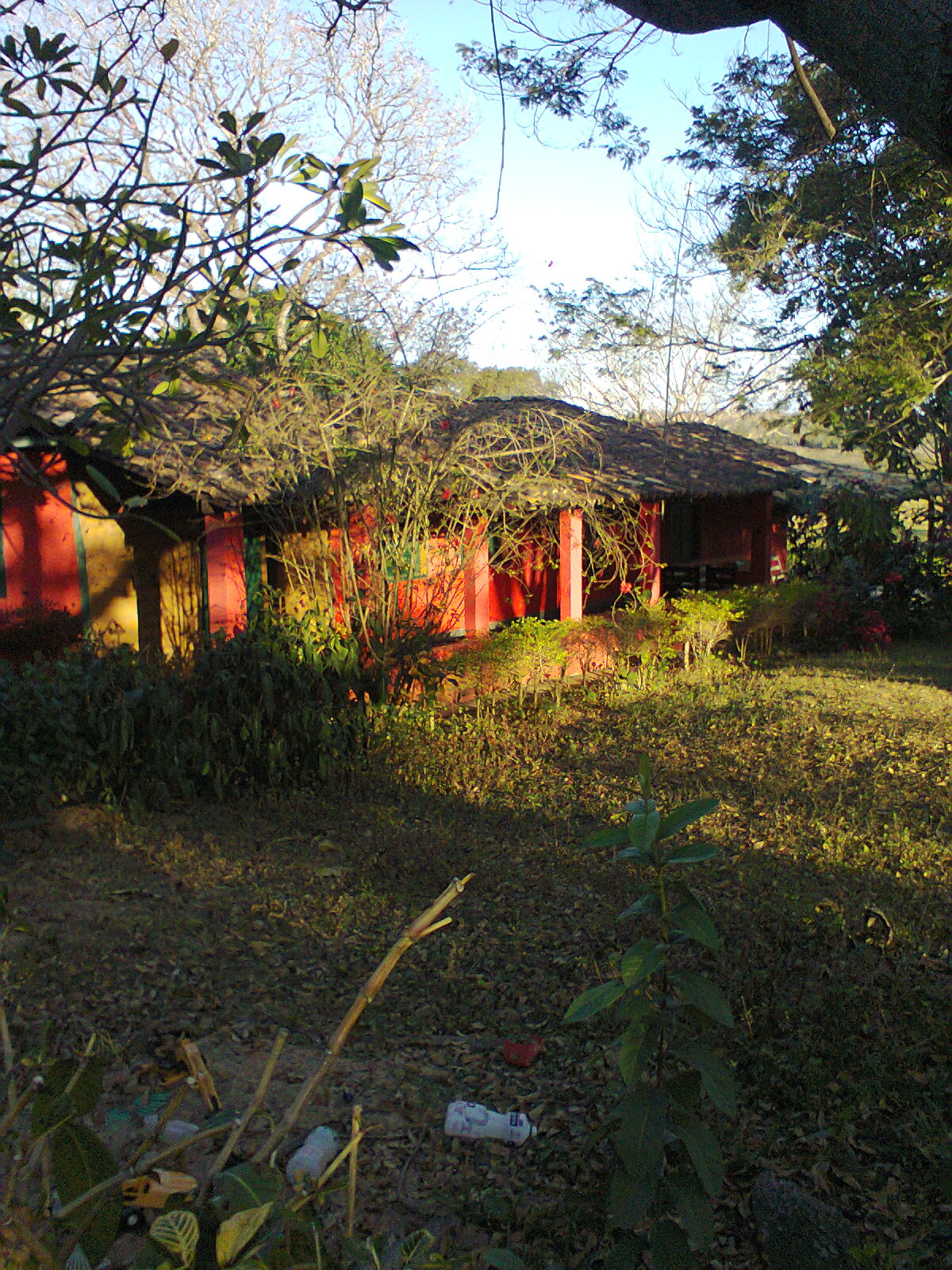 F-56 Fazenda 205hectares