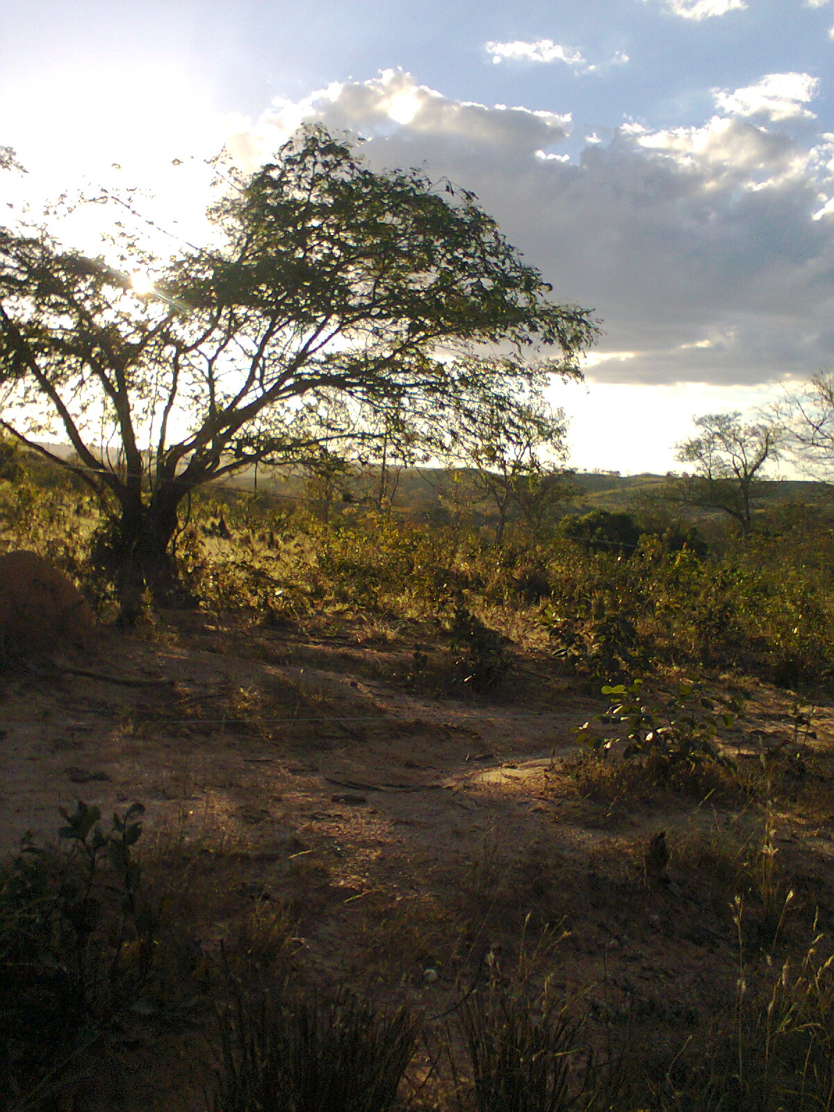 F-56 Fazenda 205hectares