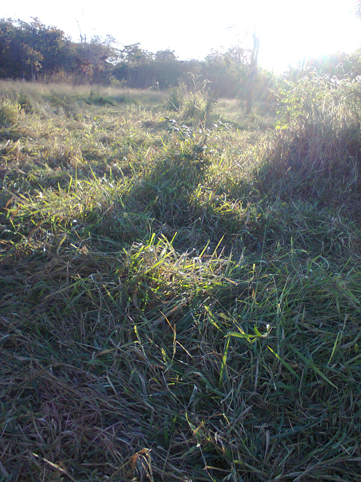 F-56 Fazenda 205hectares