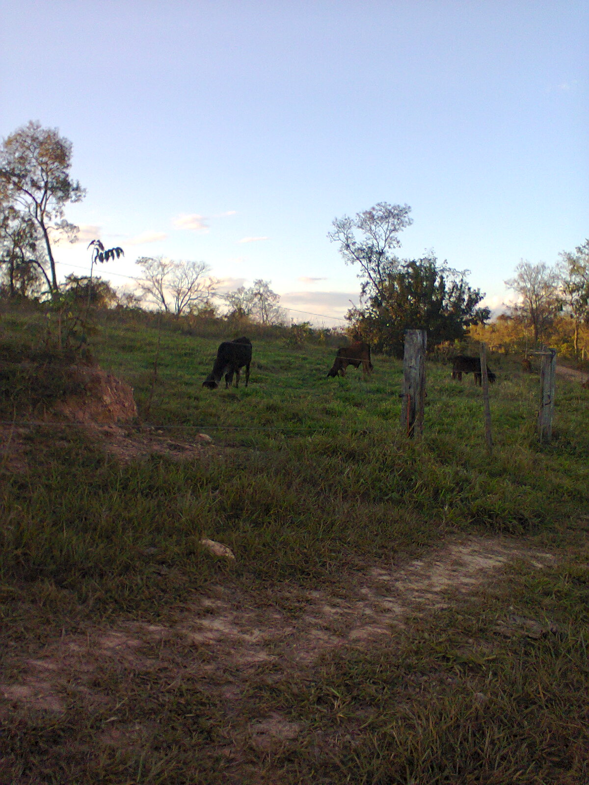 F-56 Fazenda 205hectares