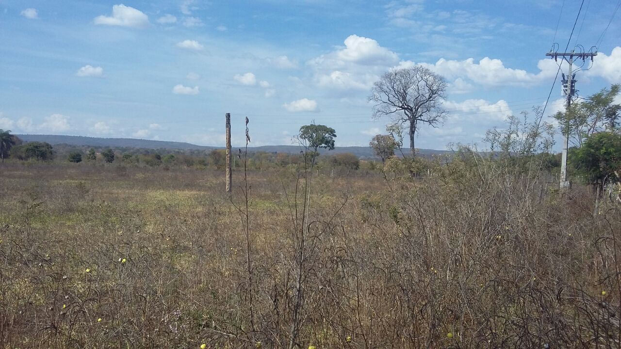 F-66 Fazenda Várzea da Palma